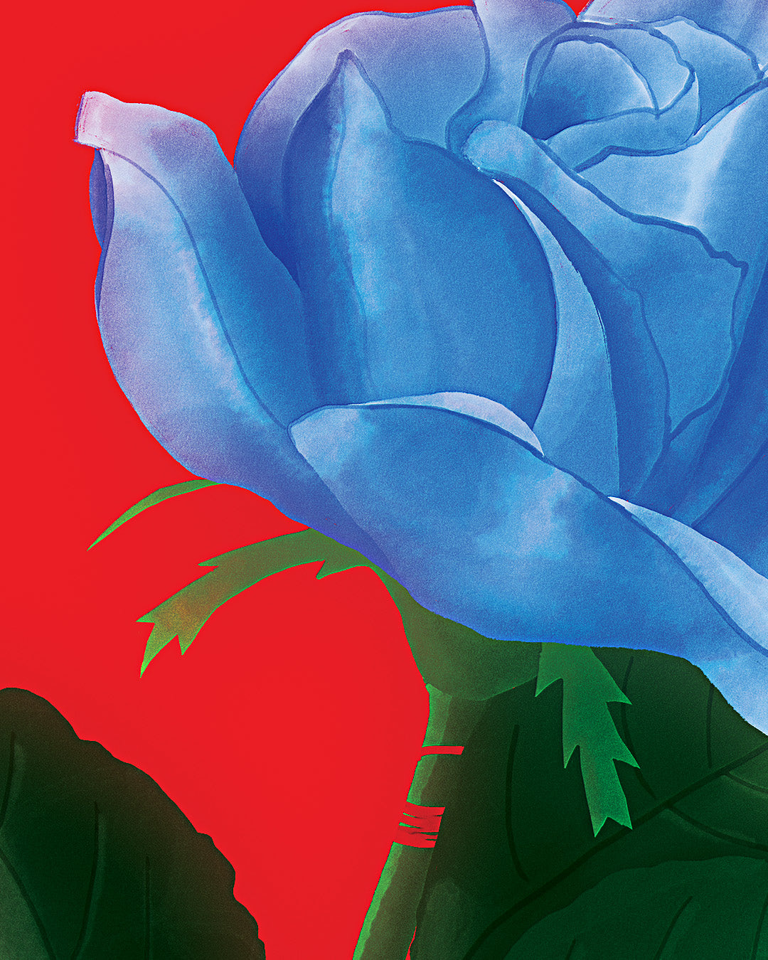 Blue Rose – Midnight Dogs